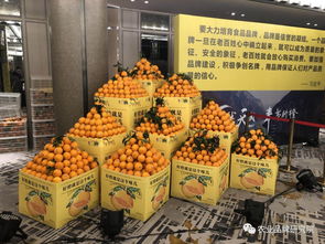 根号二 奉节脐橙的品牌叙事与几何之诗