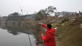 奉节脐橙，一口甜入心扉