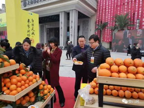 李进 我的情人叫奉节脐橙 根号二奉节脐橙