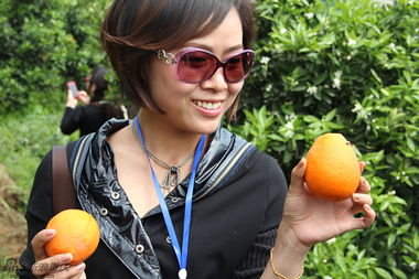 迟来的橙意，深植的善意——暨“一公斤计划”奉节脐橙爱心公益活动答谢会