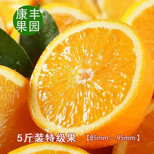 三甲橙香，直供鲜甜 云冠褚橙、赣南脐橙与根号二奉节橙的季节邀约